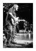 Walter Trout