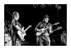 Walter Trout