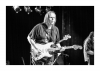 Walter Trout