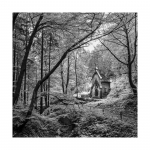 Kapelle im Wald