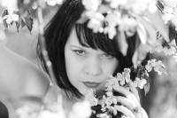 Kirschblüte mit Stephanie