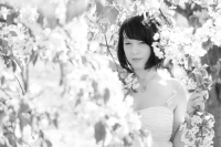 Kirschblüte mit Stephanie