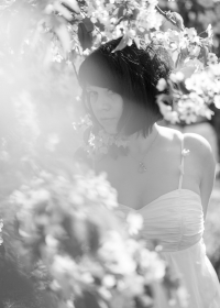 Kirschblüte mit Stephanie