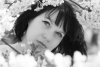 Kirschblüte mit Stephanie