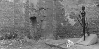 Klosterruine Limburg