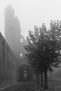 Klosterruine Limburg