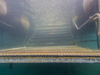 E2, Kreidesee Hemmoor