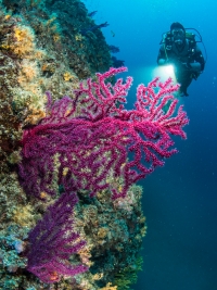Tauchen in Kroatien 2015