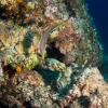 Tauchen in Kroatien 2015