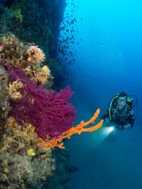 Tauchen in Kroatien 2015