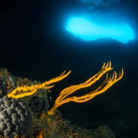 Blue Hole