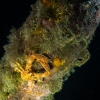 Tauchen in Kroatien 2015