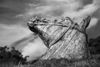 Kunst zum Dinner