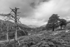 Landscape, Scotland 2014