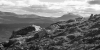 Landscape, Scotland 2014