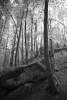 Mau im Karlstal