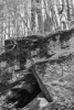 Mau im Karlstal