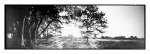 Mehlinger Heide - Pinhole