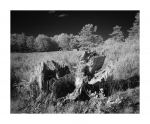 Mehlinger Heide, Infrarot