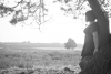 Stephanie in der Mehlinger Heide