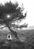 Stephanie in der Mehlinger Heide