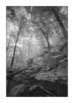 Karlstalschlucht