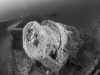 MS Peltastis