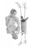 Orchidee