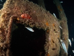 MS Peltastis bei Nacht
