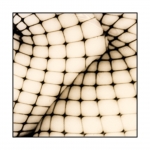 Square Crop