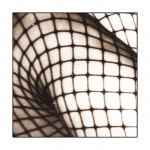 Square Crop