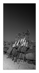 Rügen vertical