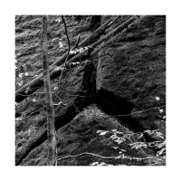 Sächsischer Sandstein