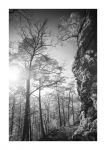 Sandstein - IR