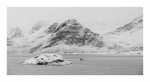 Lofoten