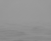 Seascape