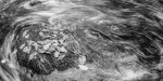 Laub und Wasser
