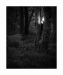 Stephanie im Herbstwald