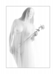 Stephanie, Akt mit Rose