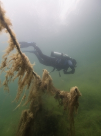 Jägerweiher, Altrip