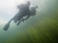 Jägerweiher, Altrip