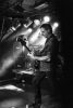 The Brew