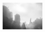 Touristen im Nebel