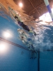 Training beim DLRG