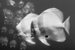 20140427_004.jpg