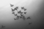 20140502_003.jpg