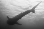 20110525_005.jpg