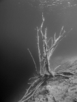 20120605_001.jpg