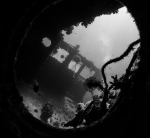 Wrack