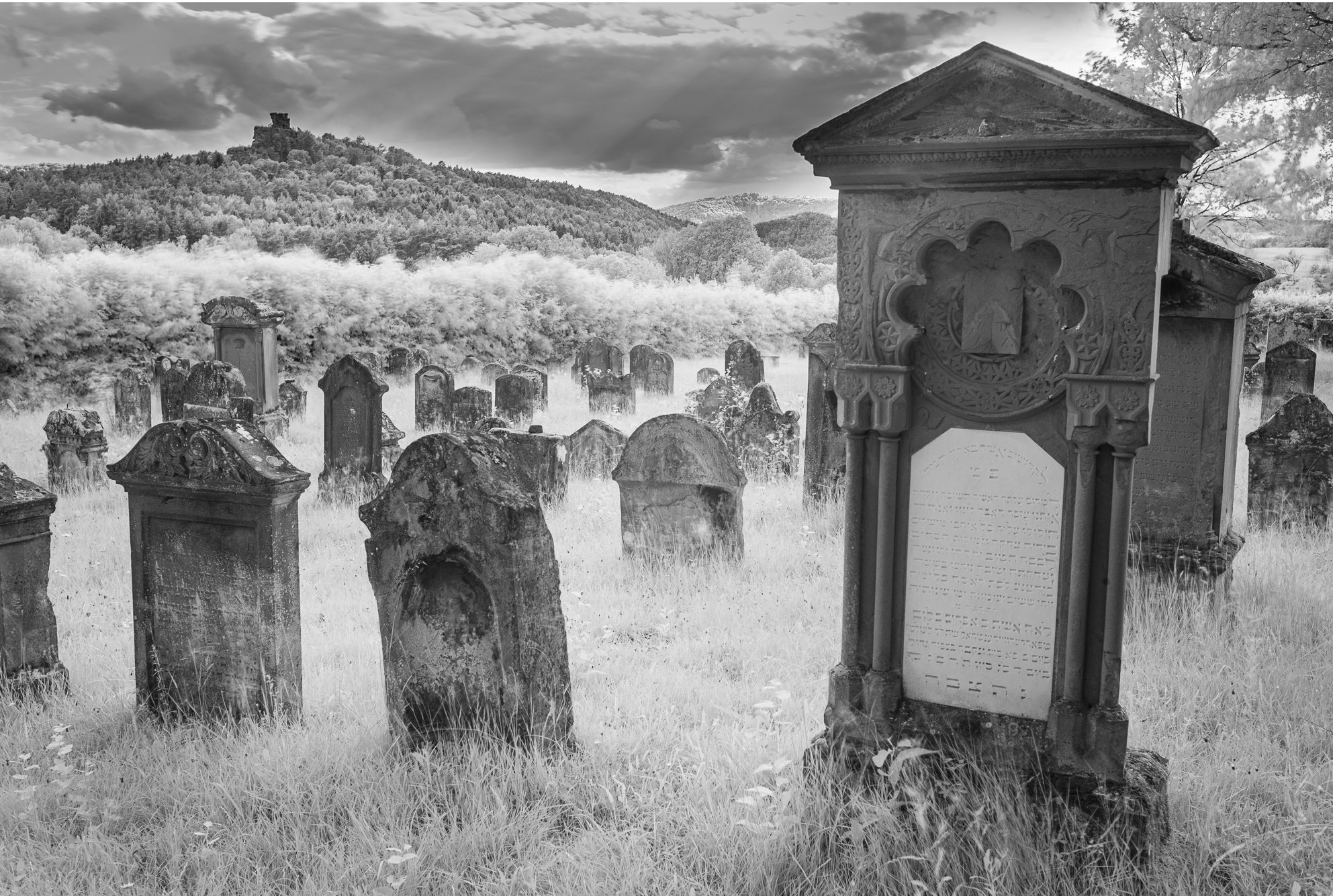 Alter jüdischer Friedhof – Infrarot